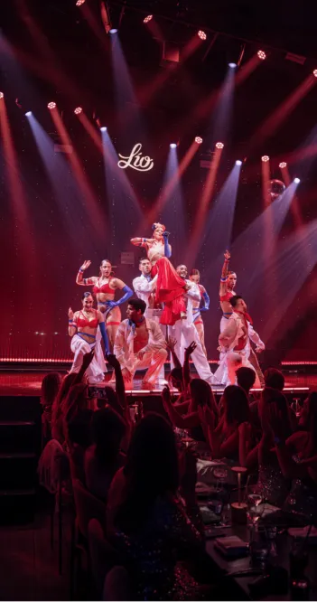 Descripción de la imagen